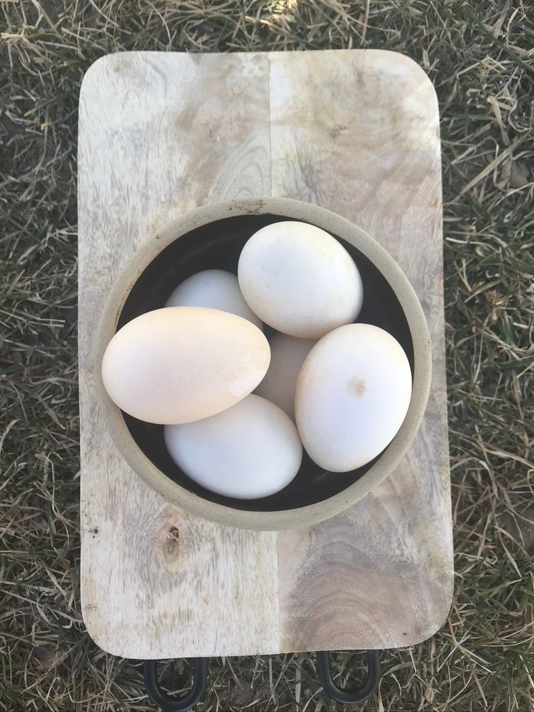 Duck eggs