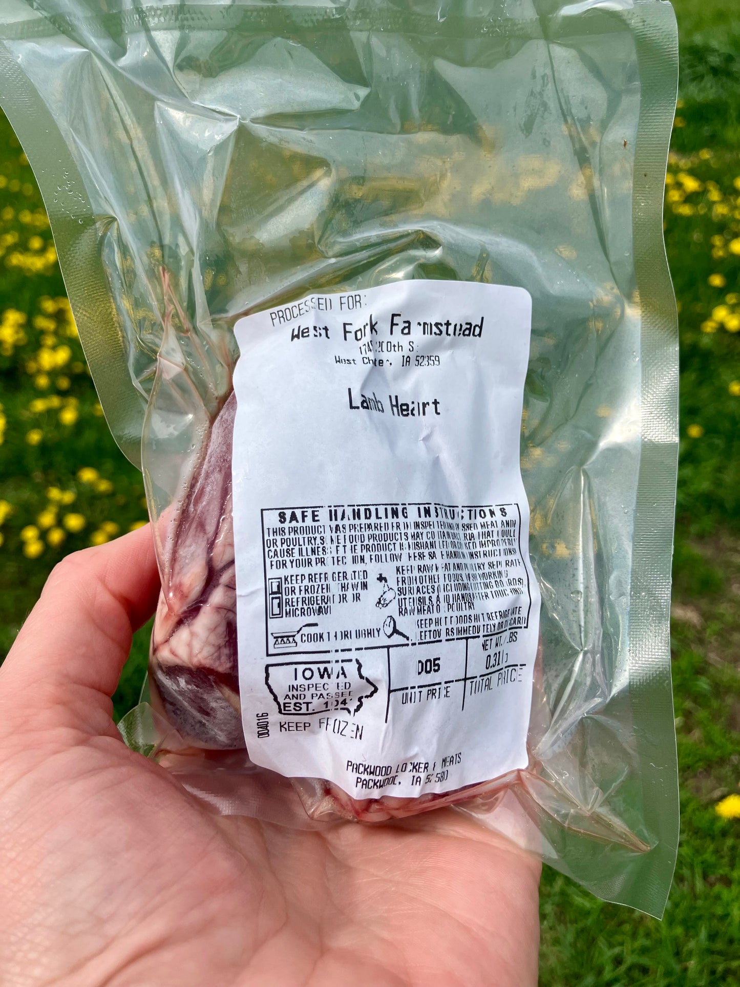 Lamb heart