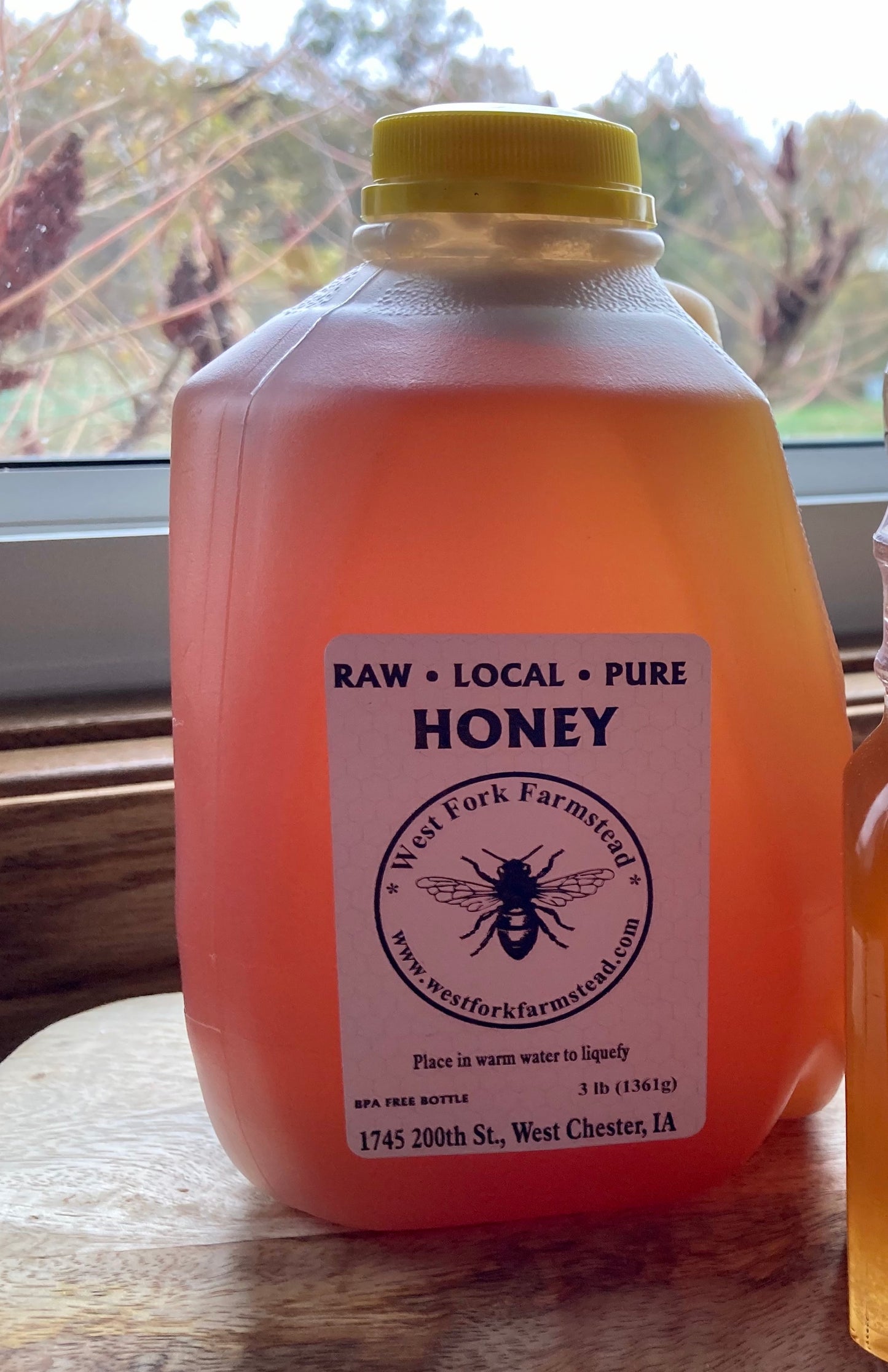 Raw honey, 3 lb. mini jug