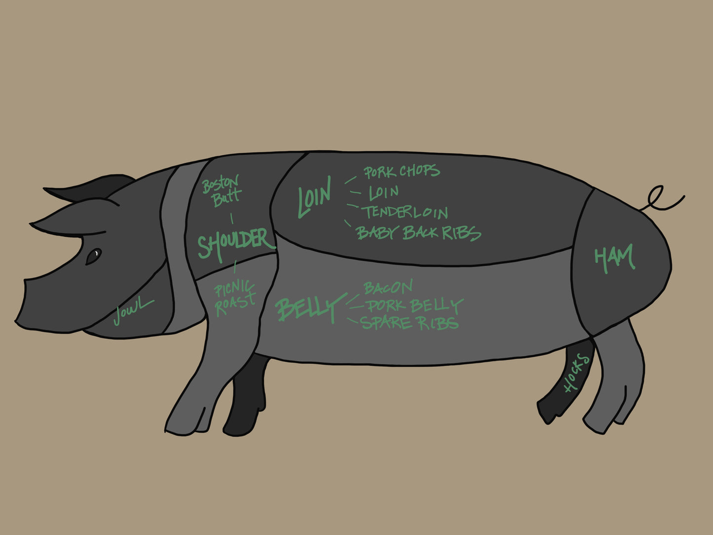Hog sections illustration - 1/2 hog, whole hog